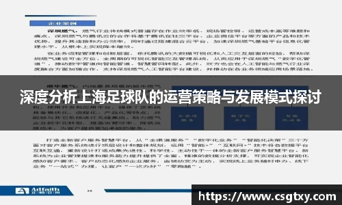 深度分析上海足球队的运营策略与发展模式探讨